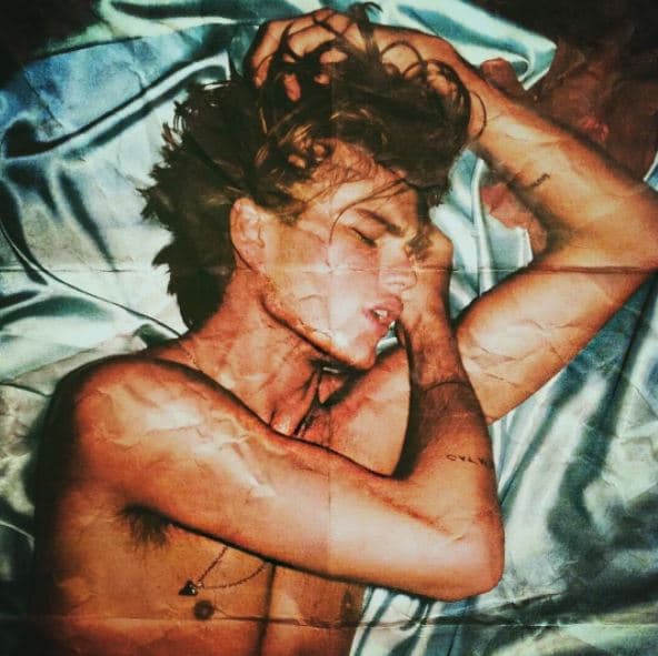 No fue hasta 2015, con 19 años, cuando despegó definitivamente en el mundo de la moda protagonizando sesiones de fotos para las revistas 
<i>VMA</i>, 
<i>Arena</i> y 
<i>Homme</i>.