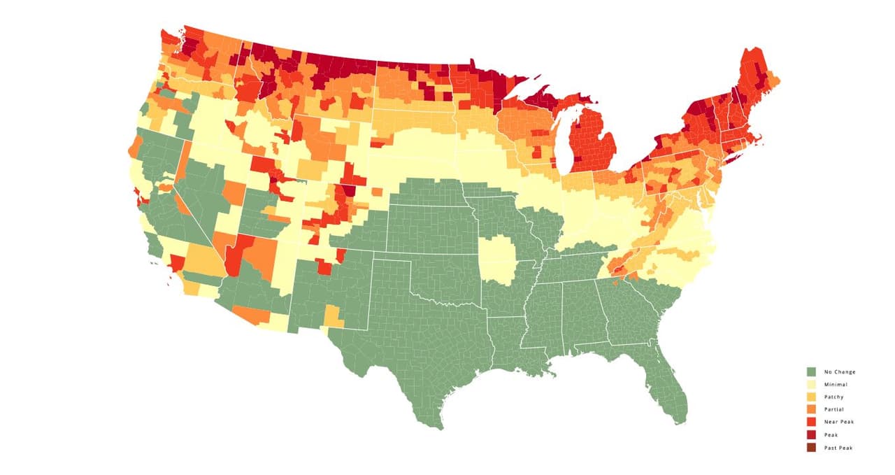<b>Semana del 3 de octubre</b>. El cambio en las hojas se extiende hacia el este de Carolina del Norte.