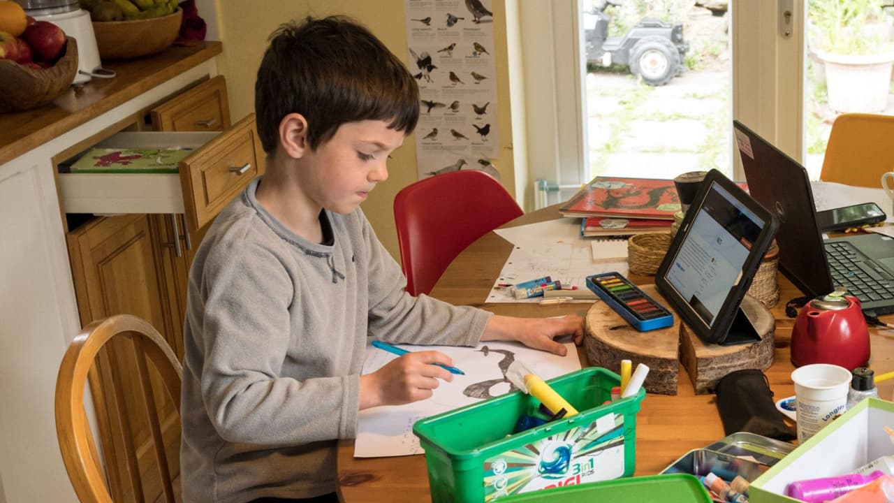 Todo lo que necesitas saber sobre el regreso a clases en las escuelas públicas de Miami-Dade