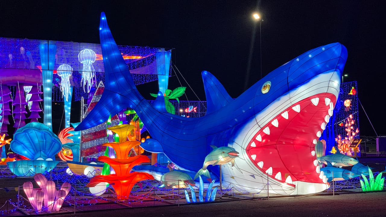 Un enorme tiburón es parte de la gran exhibición en este recorrido alumbrado.