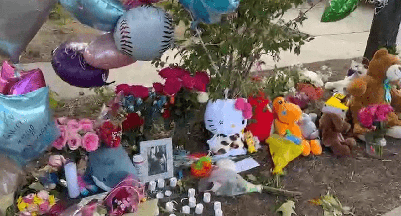 Reportes de prensa no confirmados o desmentidos por la autoridad apuntan a que
<b>la familia era de origen hispano</b>.