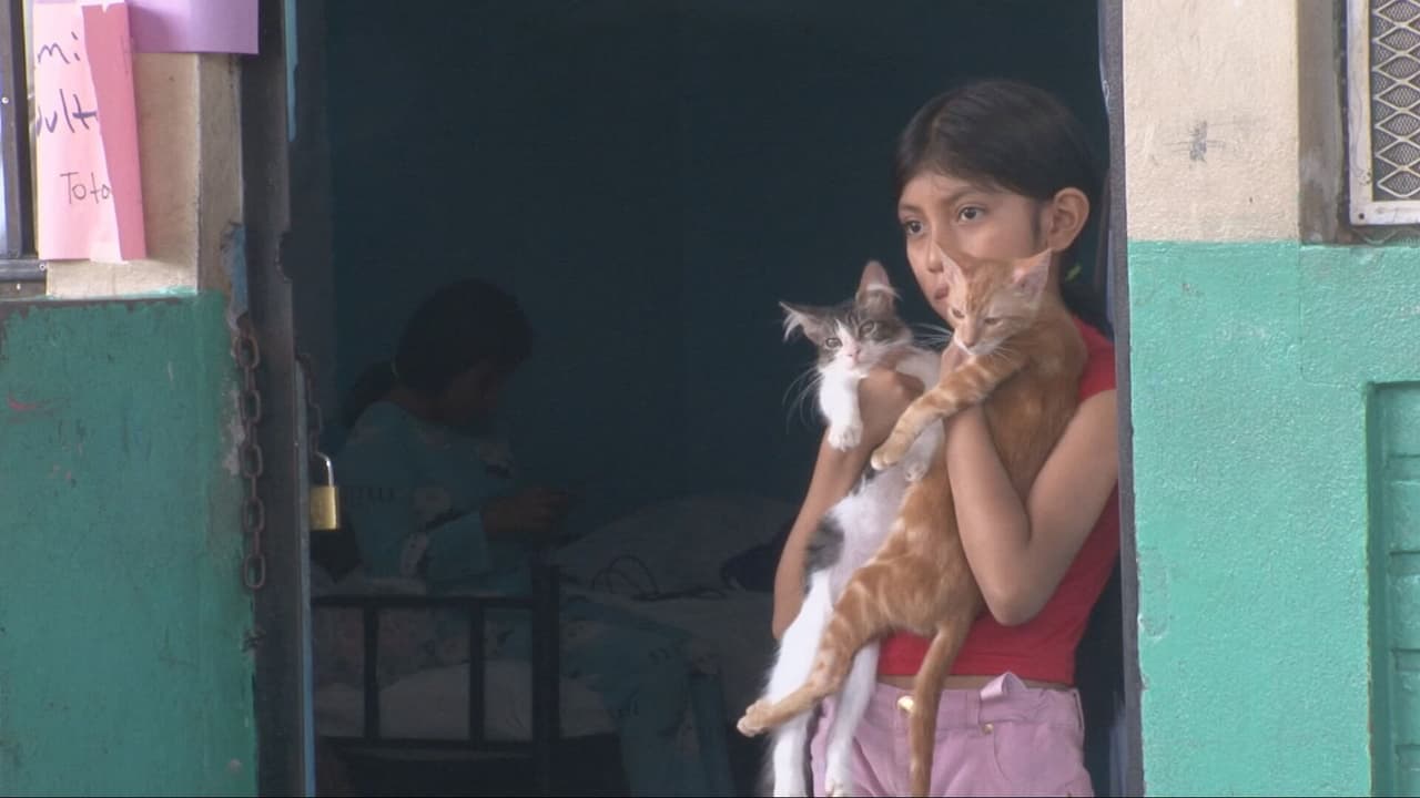 Niña rescata a sus gatos durante inundaciones y su familia pide ayuda para cumplir su sueño navideño