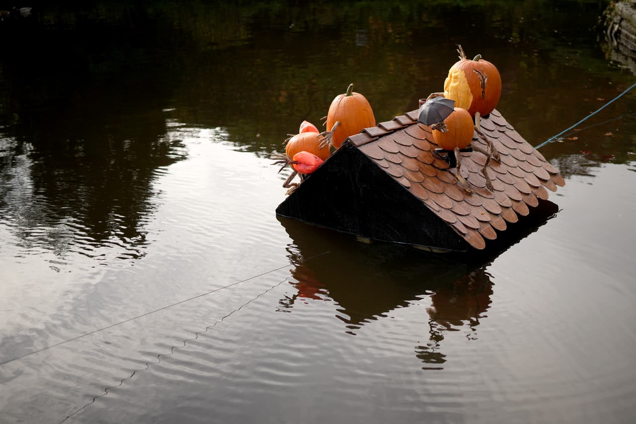 Fernando Valladares, investigador ambiental: "No se trata del planeta que dejaremos a generaciones futuras. Nuestro presente no está asegurado"