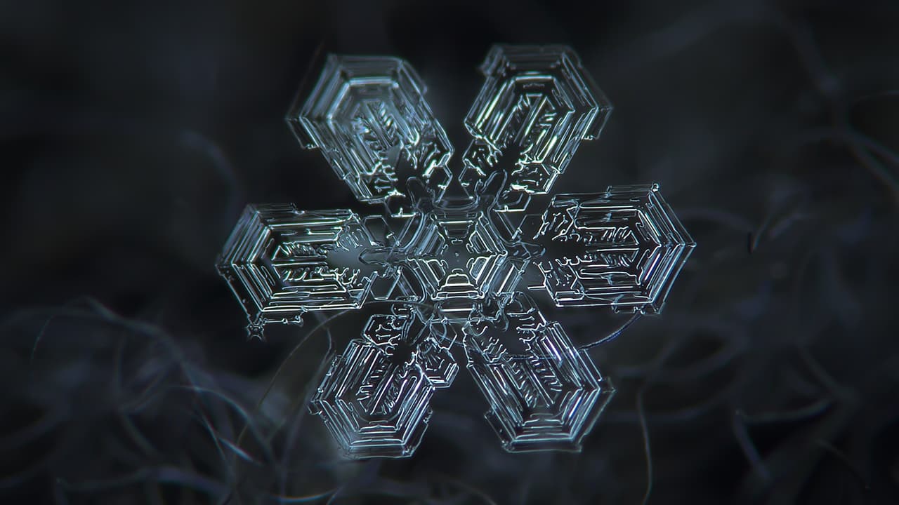 También, las diferencias entre cada copo depende de cómo se dispersan las moléculas de agua suspendidas en el aire que rodean al cristal en formación y cómo éstas se pegan o no a la superficie del hielo.