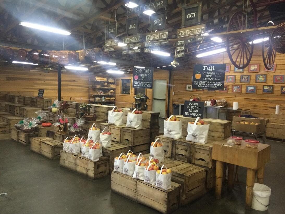 <b>Pasen el día en un “rancho”</b>. Para los padres que disfrutan la vida rural, qué mejor que llevarlo a 
<b><a href="https://www.univision.com/local/atlanta-wuvg/mejores-granjas-para-visitar-en-georgia-durante-la-primavera-2023-fotos">degustar de las delicias de la tierra en una de las mejores granjas del área</a></b>.