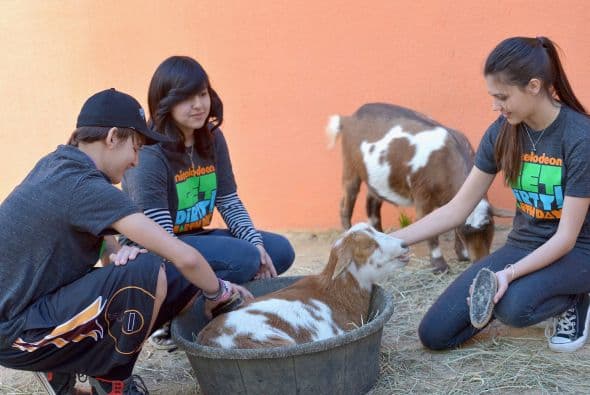 Famosos, voluntarios y hasta las Tortugas Ninja se divirtieron a lo máximo durante la fiesta rural "Get Dirty" en el Zoológico de Los Ángeles. El evento les permitió a los participantes un día repleto de actividades junto a los animalitos. Asimismo, la diversión tuvo un enfoque en la conservación del medio ambiente.