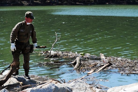 Gutiérrez y miles de personas más huyeron de las zonas costeras pese a que la entonces presidente Michelle Bachelet, basada en informaciones de la armada, descartó la ocurrencia de un maremoto.