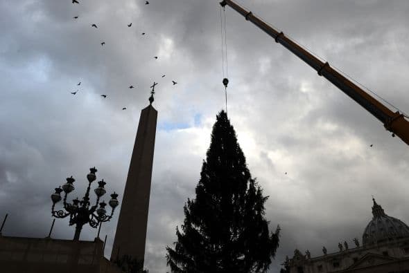 Una vez adornado el árbol será iluminado durante una ceremonia la tarde del próximo 14 de diciembre.