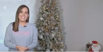 Esta será la segunda Navidad de Andrea Chediak como mamá y en sus transmisiones en vivo para Despierta América ya nos dio una probadita de como arregló su hogar para esta importante fecha.