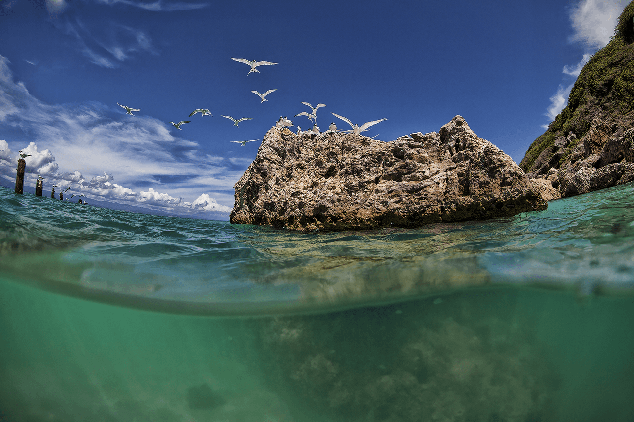 Un grupo de instagrammers ha viralizado el hashtag #CrisisIsland para promover una imagen positiva de Puerto Rico.