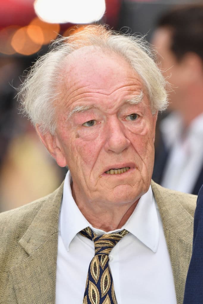 Gambon hoy tiene 81 años; sin embargo en su juventud no llevaba una barba como la de Dumbledore, al contrario, era poco común verlo con vello facial.