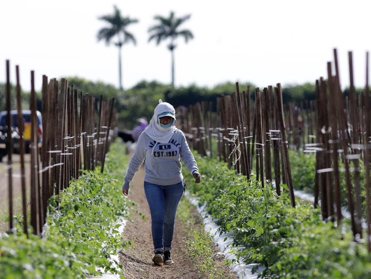 Cámara de Representantes aprueba un proyecto de ley que ofrecería un camino a la ciudadanía a trabajadores agrícolas indocumentados