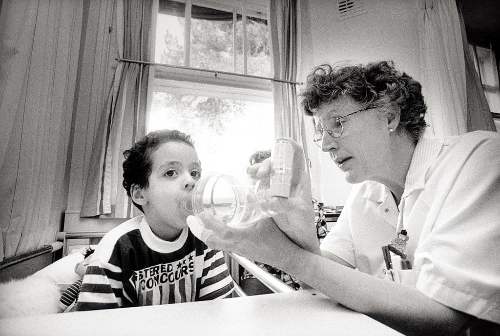 <b>Síntomas del Virus Respiratorio Sincitial:</b>
<br>-Falta de aire
<br>-Tos
<br>-Secreciones nasales
<br>-Bronquitis
<br>-Estornudos
<br>-Fiebre
<br>-Disminución del apetito