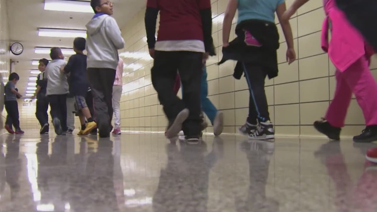 Detectan ratones, moscas y cucarachas en cientos de cafeterías escolares de Nueva York