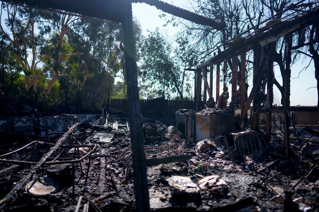 Otro vecino perdió 
<b>5 perros y unos pavos</b> que tenía en la casa, según se informó.