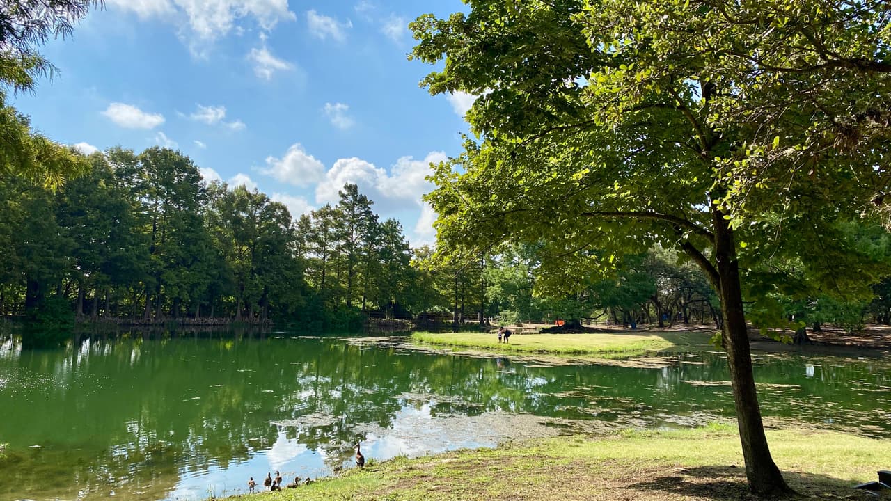 Eliminan la prohibición de acampar en parques de San Antonio durante Pascua
