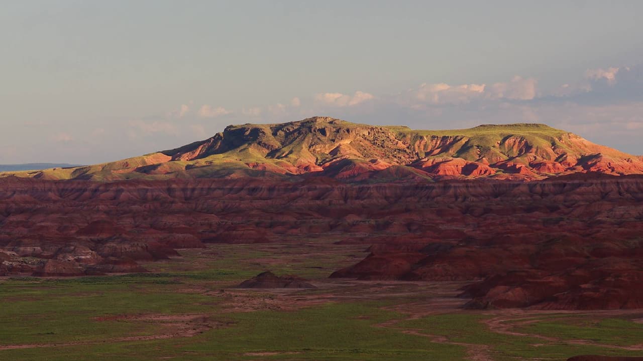 En este lugar, que protege menos del 
<b>20% de la madera petrificada en el noreste de Arizona</b>, puedes encontrar fósiles, flora y fauna únicas, así como impresionantes vista al pasado de la región al recorrer sus cerros y mesetas. Es un lugar ideal para caminar y relajarse.
