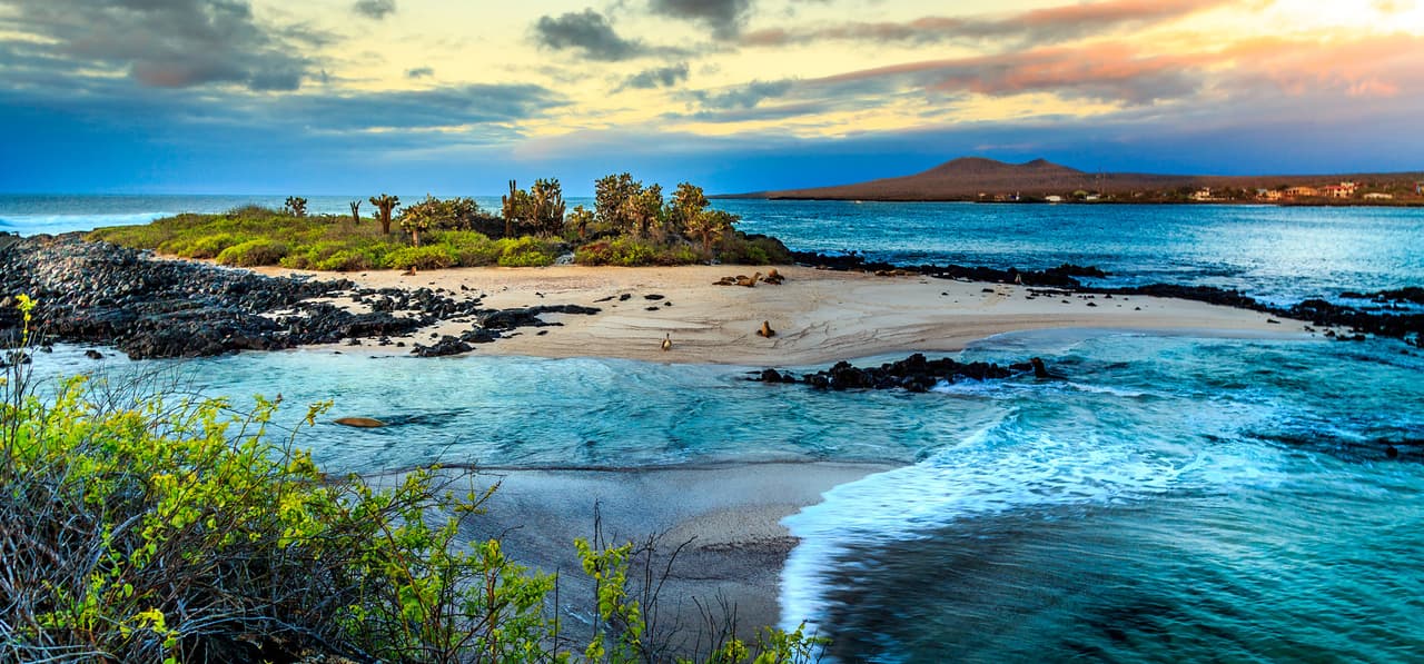 <b>Puesto 7. Islas Galápagos</b>
<br>
<br>El invierno en estas islas del Pacifico frente a Ecuador es cálido, con entre 70 y 80 grados Fahrenheit de temperatura promedio.
<br>
<br>Tendrá amplias oportunidades para ver la vida silvestre, hacer esnórquel y bucear, y aunque es la temporada de precipitaciones, el sol brilla la mayoría de los días.
<br>
<br>Si va en diciembre puede ver tortugas gigantes recién nacidas e iguanas marinas machos que muestran sus colores vivos para atraer a las hembras. Si quiere un poco más de acción, vaya en febrero para celebrar el carnaval en la isla Santa Cruz.
<br>