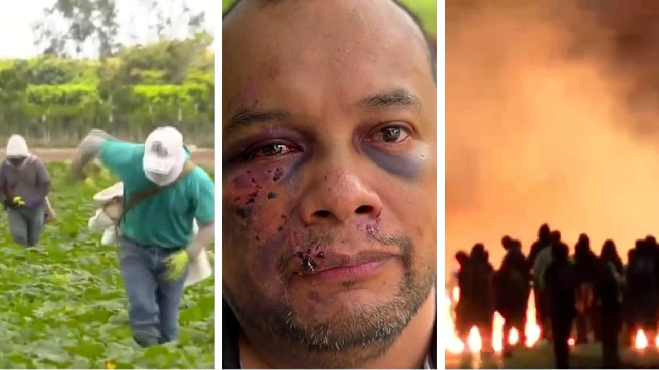 Lo mejor de N+ Univision de la tarde | lunes 17 de agosto de 2026