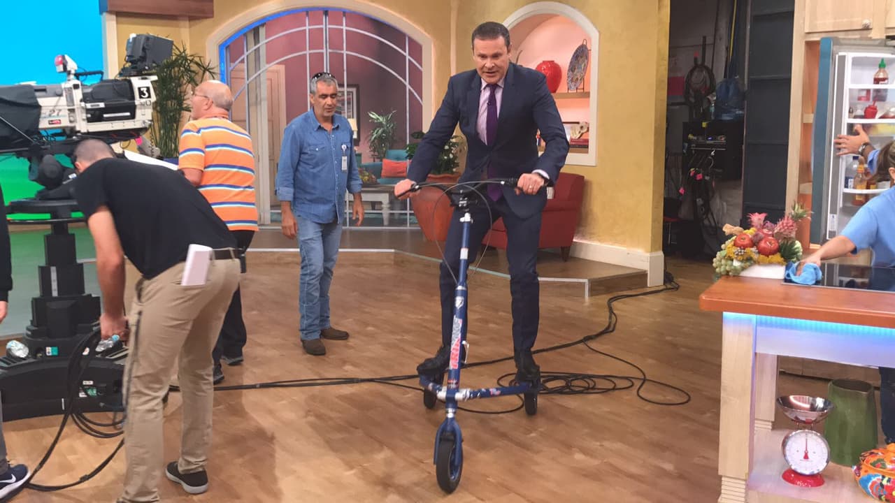 Solo era cuestión de que tomara vuelo, Alan estaba muy divertido paseando por el estudio.