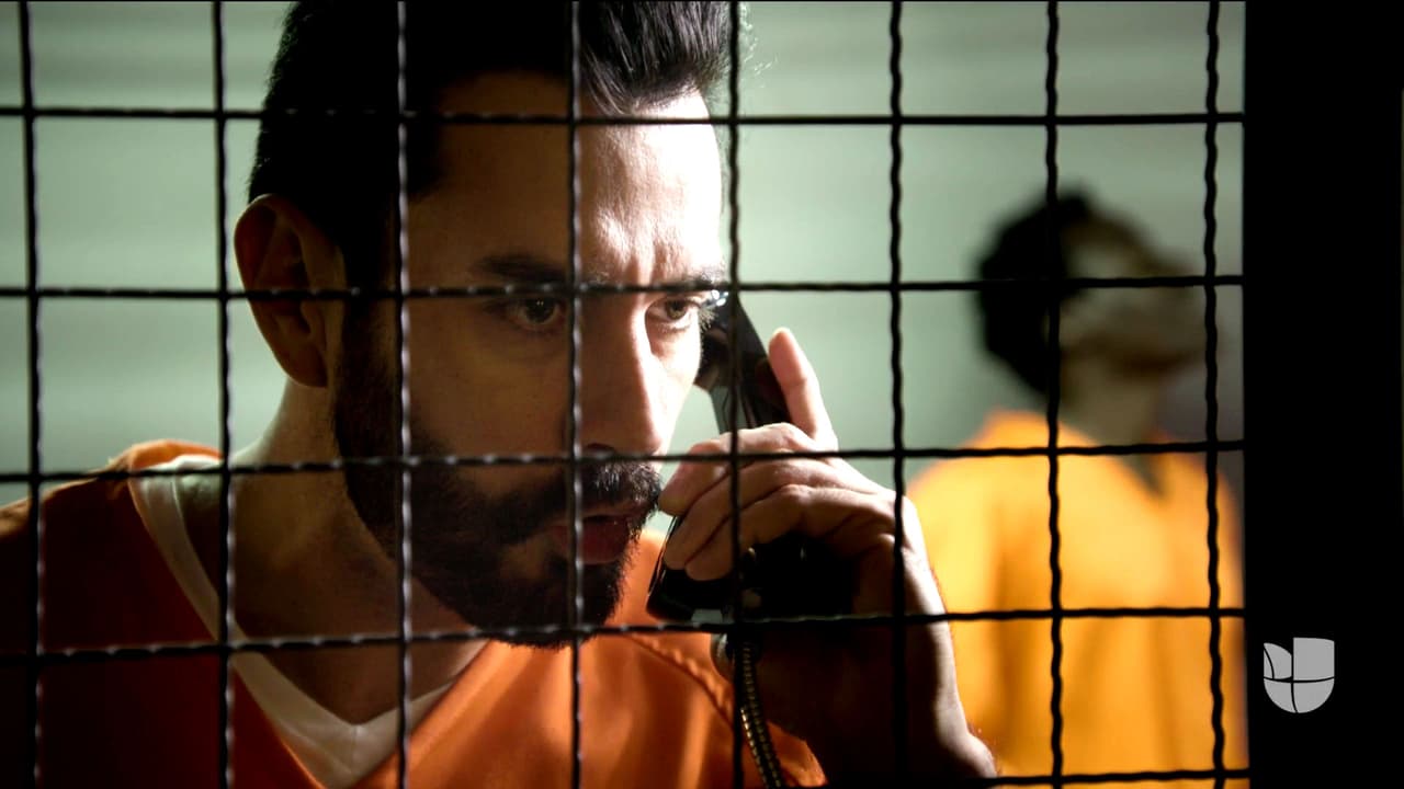 <b><a href="http://www.univision.com/novelas/la-doble-vida-de-estela-carrillo/david-zepeda-es-ryan-cabrera-en-la-doble-vida-de-estela-carrillo">Ryan</a></b> se enteró del suceso y le pidió a sus abogados que buscaran a la famosa Estela Carrillo, pues ella era la única podría ayudarlo a salir de la cárcel.