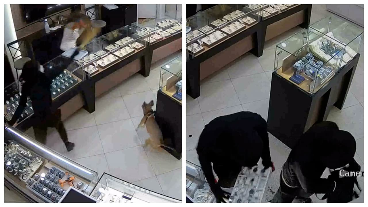 Rocían gas pimienta y parten vitrinas: revelan video de robo en una joyería de Sawgrass Mills