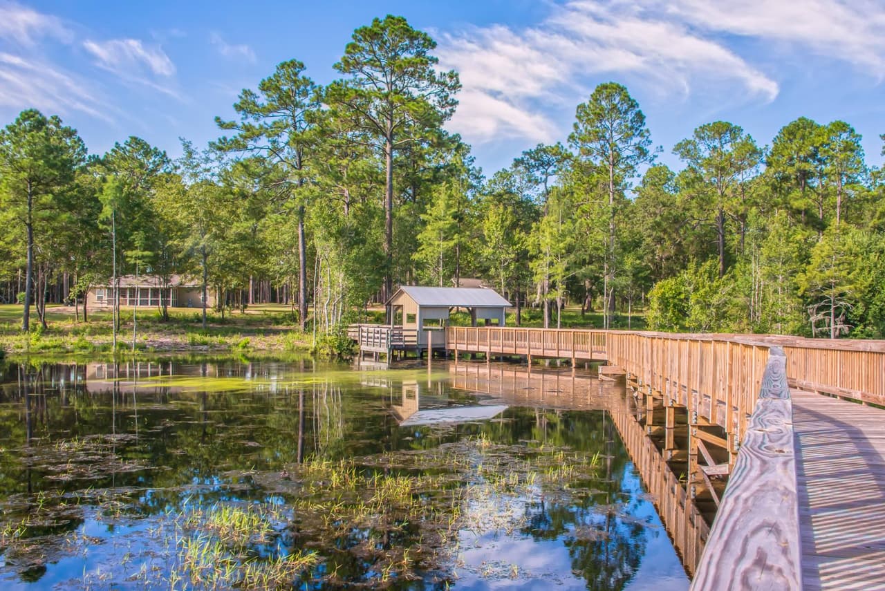 <b>Laura S. Walker State Park (Waycross)</b>
<br>
<b>Sitio web</b>: 
<a href="https://gastateparks.org/LauraSWalker">https://gastateparks.org/LauraSWalker</a> 
<br>
<b><a href="https://maps.app.goo.gl/vzybUFG9FG9S9S1G6">Cómo llegar</a> </b>
<br>
<br>Ubicado cerca del extremo norte del misterioso pantano de Okefenokee, este parque alberga criaturas y plantas fascinantes, incluidos caimanes y plantas carnívoras. Al caminar por la orilla del lago y el sendero natural, los visitantes pueden observar la tímida tortuga tuza, la palma enana americanas, las parpaditas amarillas, las currucas, los búhos y las grandes garzas azules.
