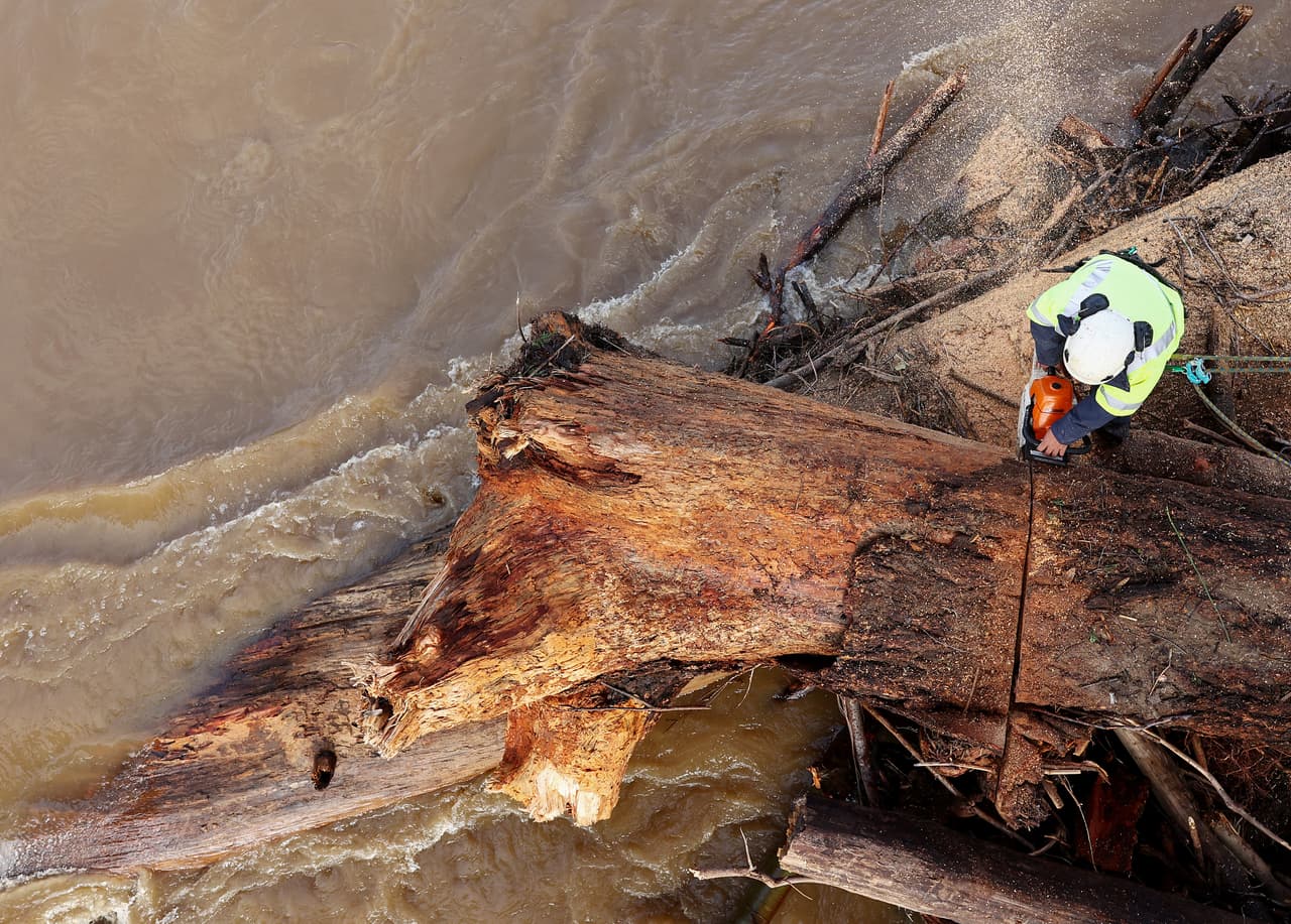 SANTA CRUZ, CALIFORNIA - JANUARY 10: A tree service worker uses a chain saw to dismantle a fallen redwood tree which floated down the flooded San Lorenzo River during recent flooding on January 10, 2022 in Santa Cruz, California. The San Francisco Bay Area and much of Northern California continues to get drenched by powerful atmospheric river events that have brought high winds and flooding rains. The storms have toppled trees, flooded roads and cut power to tens of thousands. Storms are lined up over the Pacific Ocean and are expected to bring more rain and wind through the end of the week. (Photo by Mario Tama/Getty Images)