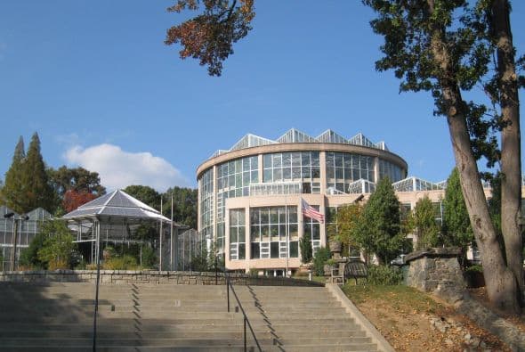 El Jardín Botánico de Atlanta: comprende un predio de 12 hectáreas (30 acres) de extensión situado junto al Piedmont Park en el centro de Atlanta, un maravilloso lugar donde podrás conocer la gran variedad de plantas que posee. (Imagen Wikipedia)
