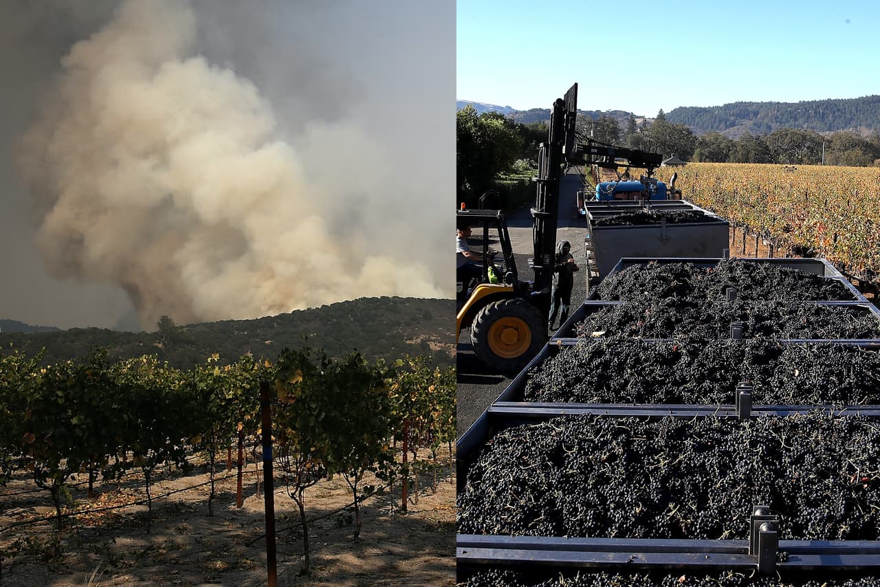 Estragos de la naturaleza: Zona vinícola del norte de California sigue en estado latente de riesgo debido al cambio climático