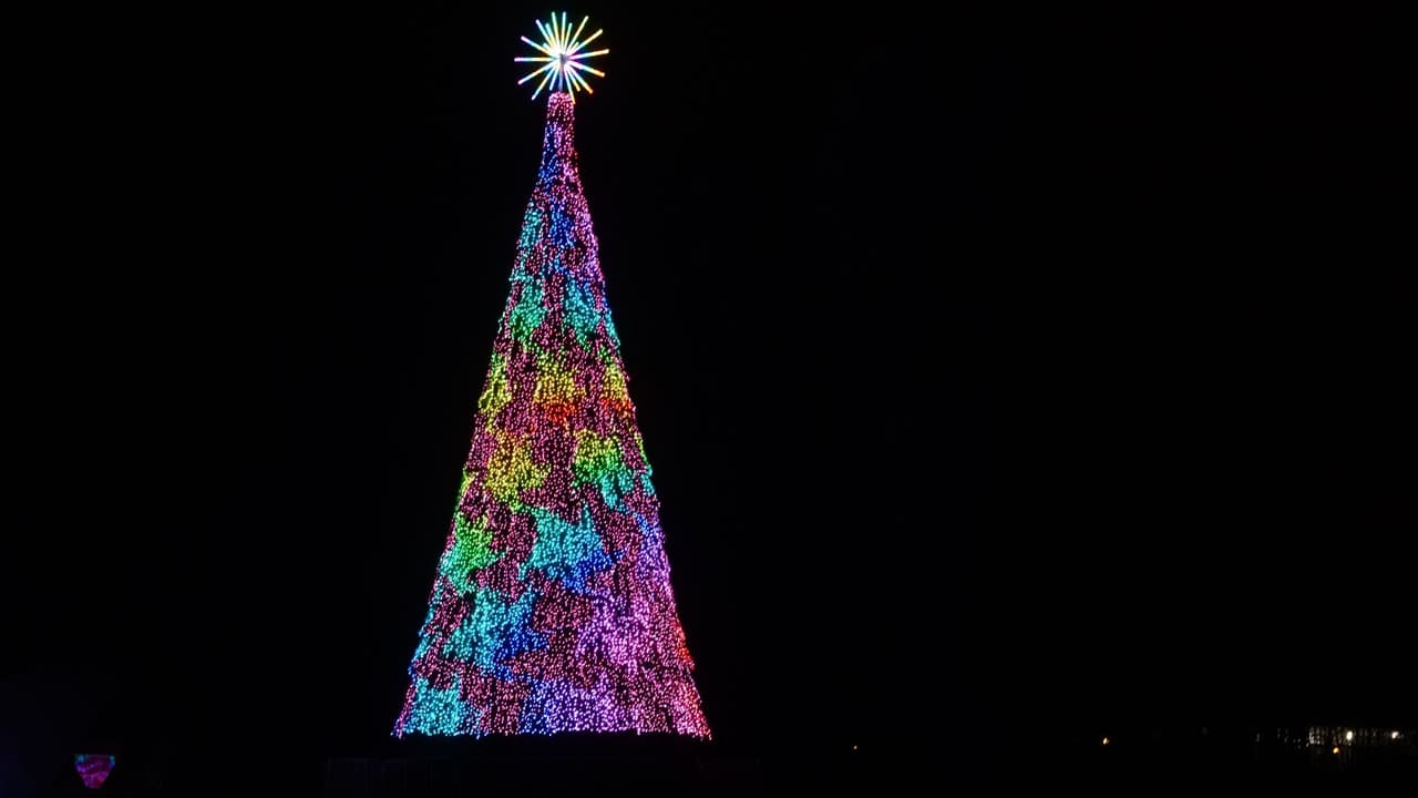 Si quieres ir de noche para ver mejor las luces navideñas puedes comprar tus boletos para ir de noche. Esto es en un horario de 6:00p.m. a 9:00 p.m. Los boletos los puedes 
<a href="https://www.dallasarboretum.org/events-activities/holiday-at-the-arboretum/ " target="_blank">comprar aquí</a>.