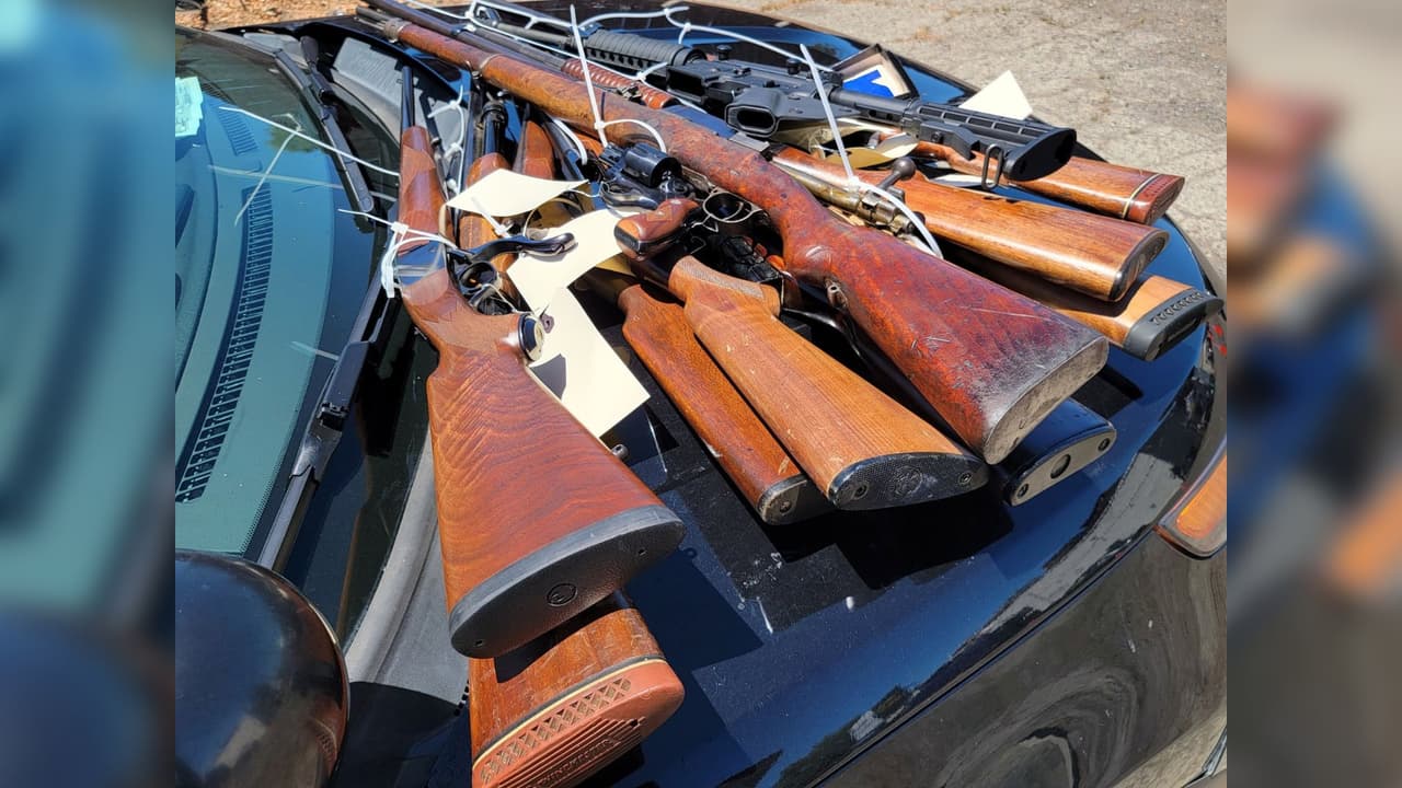 Los participantes entregaron armas de fuego que iban desde pistolas compactas a un subfusil "Tommy Gun".
<br>