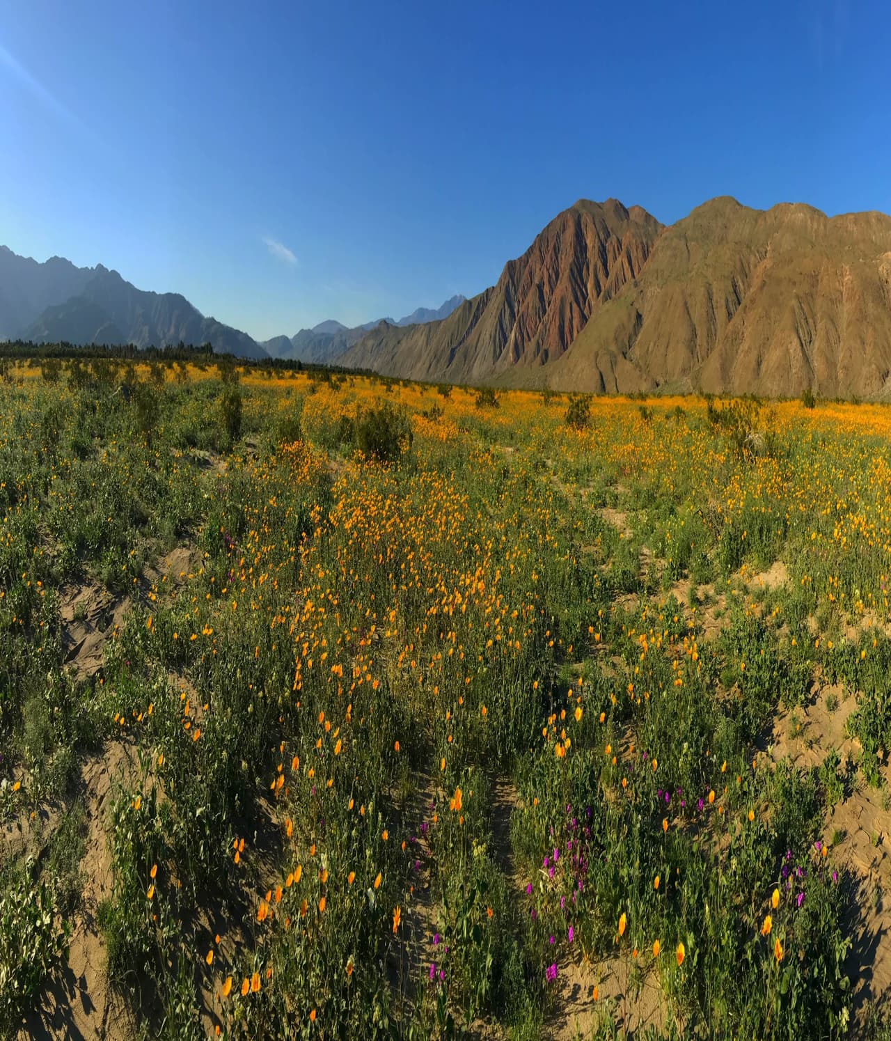 El parque está ubicado a una distancia de 151 millas de la ciudad de Los Ángeles.