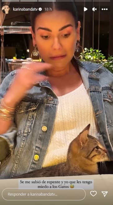 Durante la convivencia, un gato se postró sobre las piernas de la conductora y se llevó tremendo susto, pues, según apuntó junto a la foto, le dan miedo los mininos.