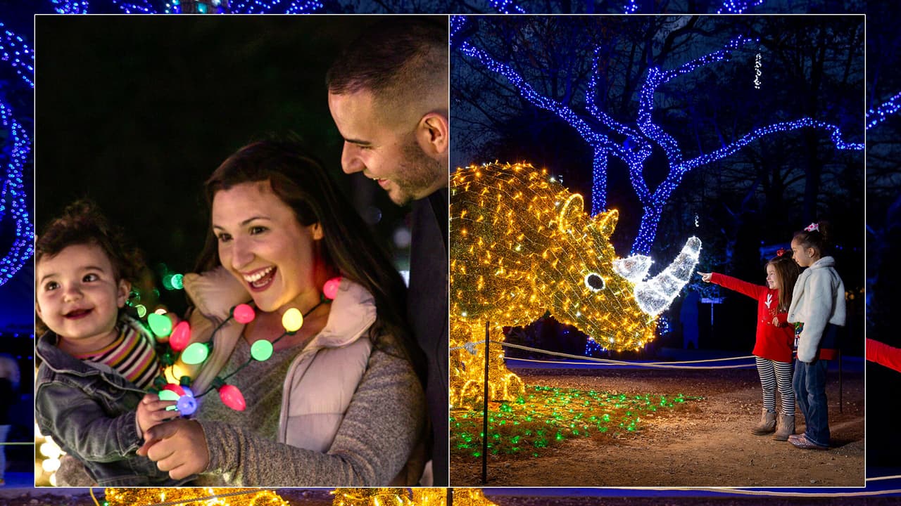 El Zoológico de San Antonio se ilumina con miles de luces navideñas