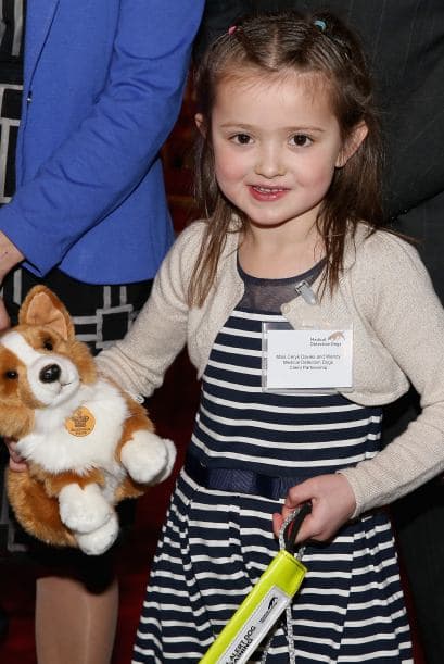 Los perros son entrenados para detectar los cambios de olor en las personas enfermas para asistirlas o buscar ayuda.