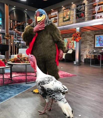 Fiel a su divertido estilo, Raúl 'El Gordo' de Molina, publicó en su cuenta de Instagram una fotografía vestido de pavo.
