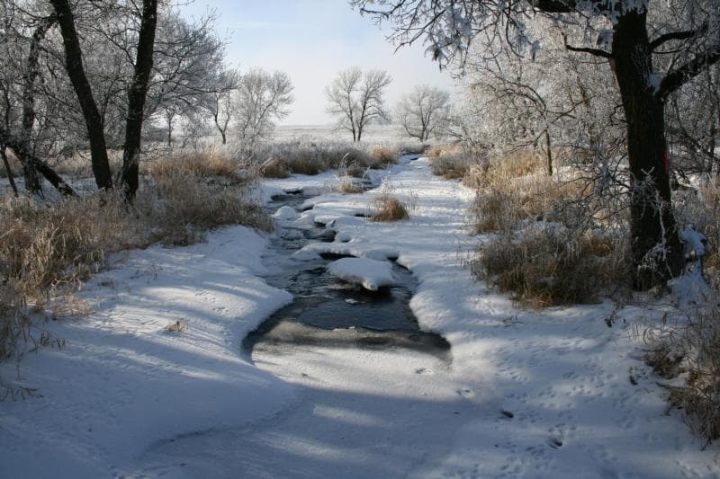 El Monumento Nacional Pipestone le ofrece la oportunidad de explorar la cultura de los indios americanos y los recursos naturales de las llanuras de pastos altos. El congreso lo estableció en 1937 a fin de proteger las canteras históricas de arcilla roja. Muchos indios americanos consideran sagrado este lugar. Abarcando siglos de uso, los indios americanos continúan extrayendo la arcilla roja con la cual tallan pipas sagradas.