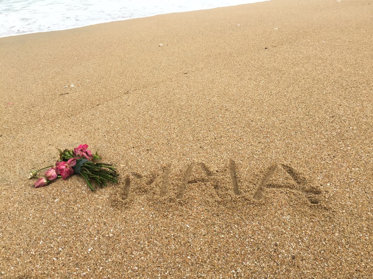 Además son los más amorosos.