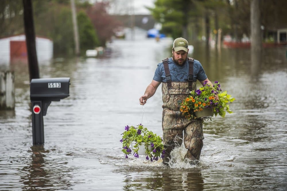 En otra zona del estado, Tyler Marciniak de Grand Rapids lleva plantas colgantes mientras camina por una calle inundada en Red Oak Drive, cerca del lago Wixom, en Beaverton, Michigan. Se han abierto refugios en todo el condado y están disponibles para los residentes que necesitan un lugar para ir.