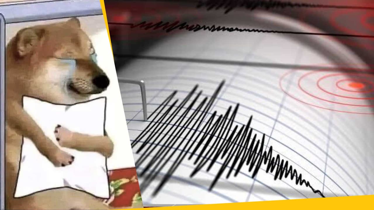 ¿Se pueden predecir los sismos? Expertos revelan si atraemos los temblores por tenerles miedo