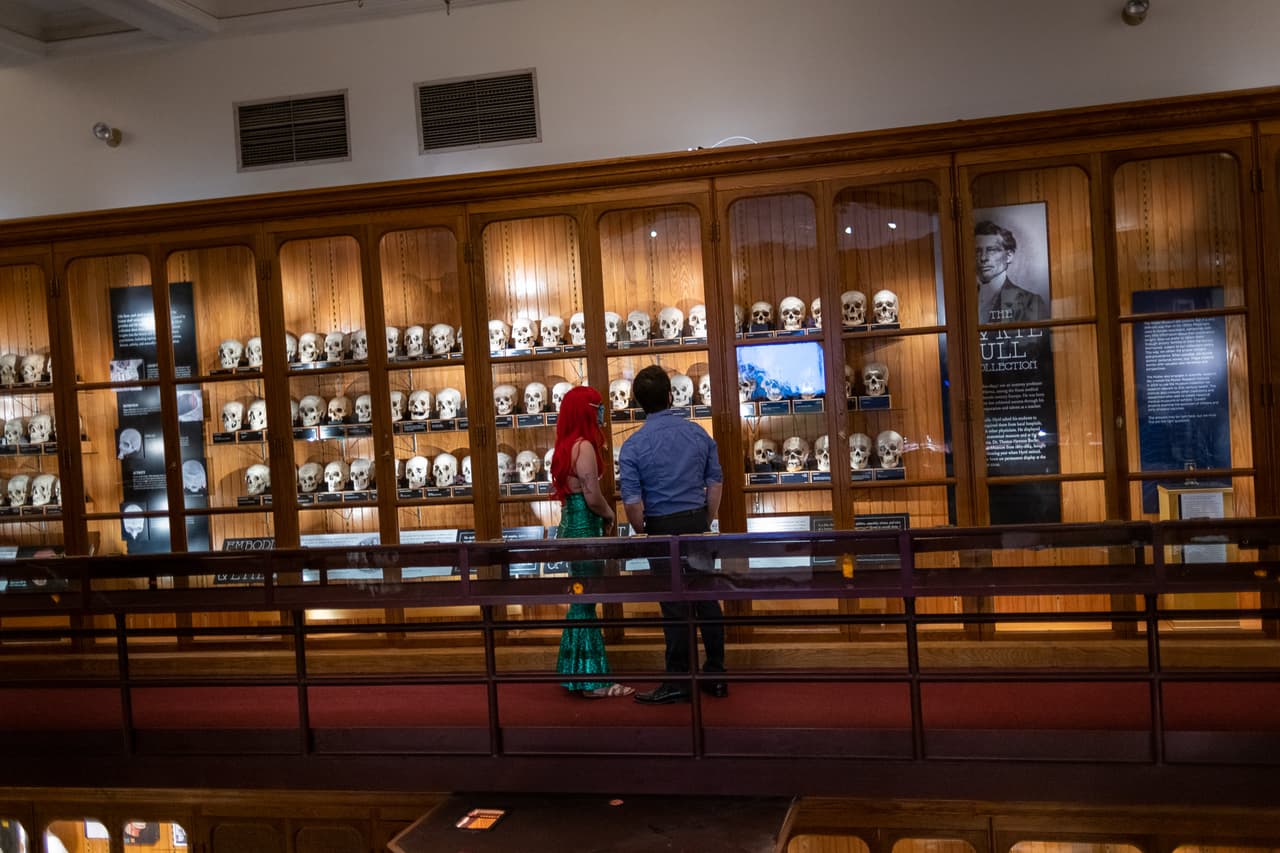 <b><a href="https://muttermuseum.org/" target="_blank">Mütter Museum (Filadelfia)</a></b>: Este museo, que forma parte del Colegio de Médicos, se centra en las anomalías médicas, algunas de las cuales revuelven el estómago. Vea una gran vitrina llena de cráneos humanos reales, partes del cerebro de Einstein, un tumor extirpado del presidente Grover Cleveland y mucho más.