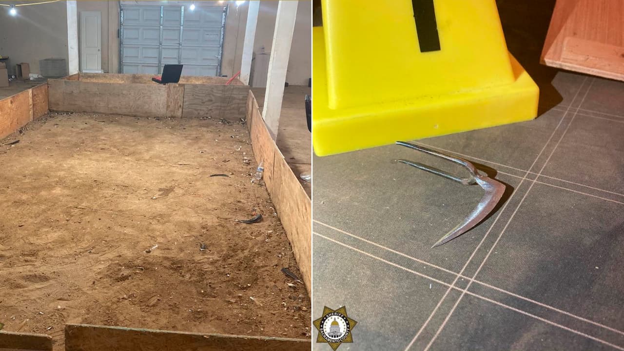 Así descubrieron una arena clandestina de peleas de gallos en Sacramento: había más de 200 aves y algunas serán sacrificadas