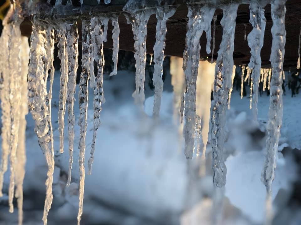 Cualquier momento es perfecto para captar una foto.