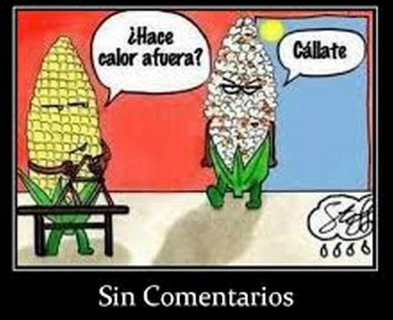 Ante la ola de calor que afecta a la Isla, los usuarios de redes sociales se han puesto creativos creando memes que según ellos, simulan la situación que viven.