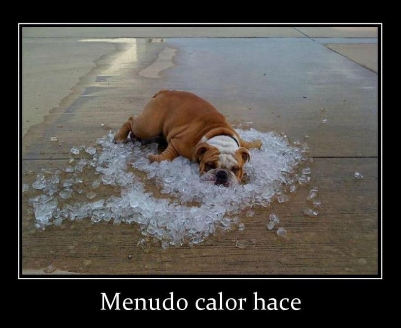Ante la ola de calor que afecta a la Isla, los usuarios de redes sociales se han puesto creativos creando memes que según ellos, simulan la situación que viven.
