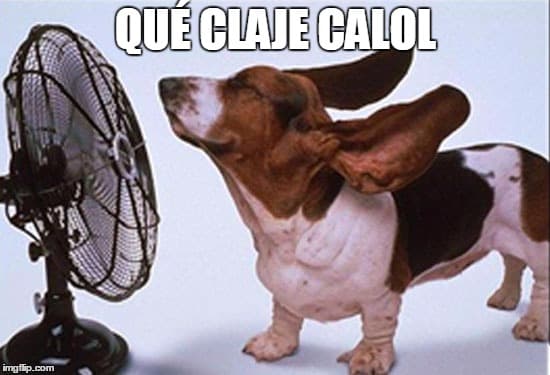 Ante la ola de calor que afecta a la Isla, los usuarios de redes sociales se han puesto creativos creando memes que según ellos, simulan la situación que viven.