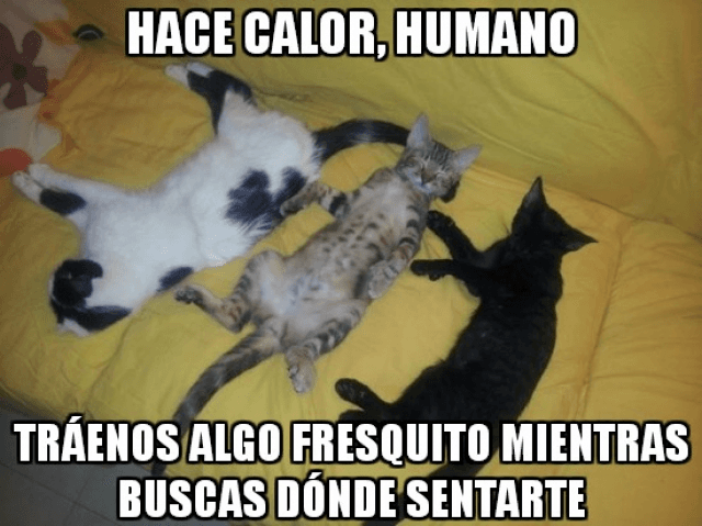 Ante la ola de calor que afecta a la Isla, los usuarios de redes sociales se han puesto creativos creando memes que según ellos, simulan la situación que viven.