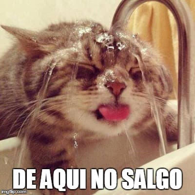 Ante la ola de calor que afecta a la Isla, los usuarios de redes sociales se han puesto creativos creando memes que según ellos, simulan la situación que viven.