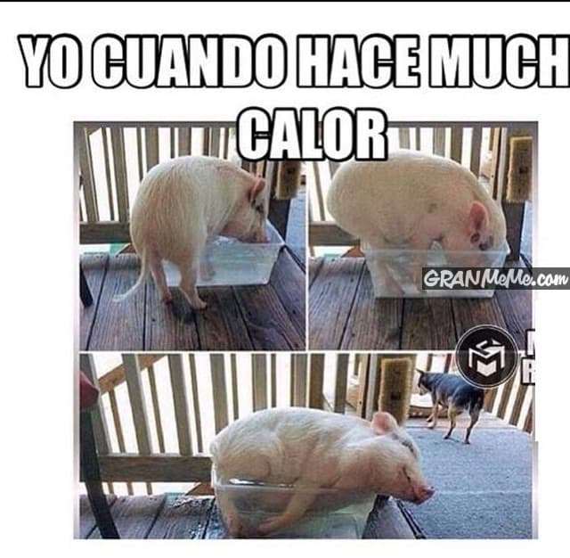 Ante la ola de calor que afecta a la Isla, los usuarios de redes sociales se han puesto creativos creando memes que según ellos, simulan la situación que viven.